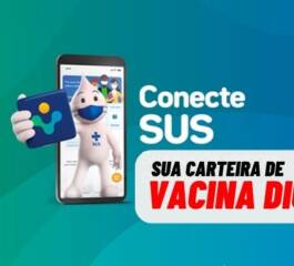 Conecte SUS: Carteira de vacina digital